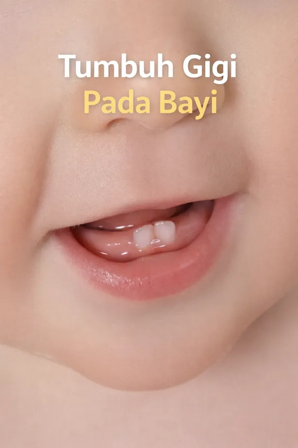 Tumbuh Gigi
